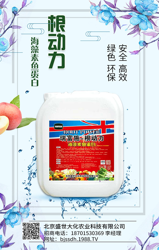     �׷ʃr���λ�\�У�2020-05-16����һ�@���@�r���߄ݷ�����