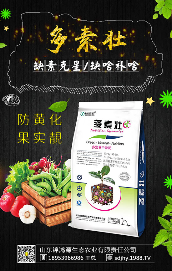 ���������緽������Щ������������Ҫ�c�����ڹ�����