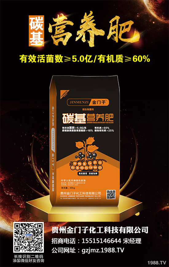 ����(n��i)⛷ʃr(ji��)�������߄�(sh��)