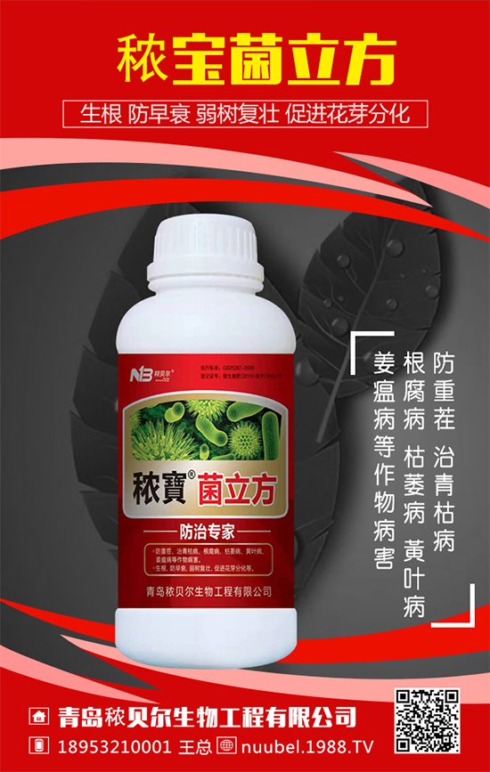 ���J��ô���N���������J�Ĳ��N���������L�^����