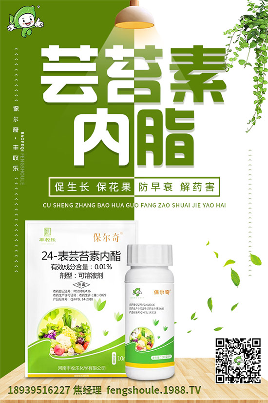 ��ɺ��ԓ��ô�Nֲ����ηNֲ�ܸ߮a(ch��n)����ɺ���߮a(ch��n)�Nֲ���g(sh��)