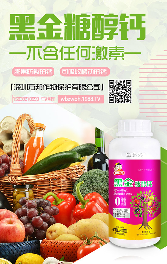 ���ڌ����������仨���ԓ��ô�k�������仨���ԭ�򼰷�ֹ��ʩ��