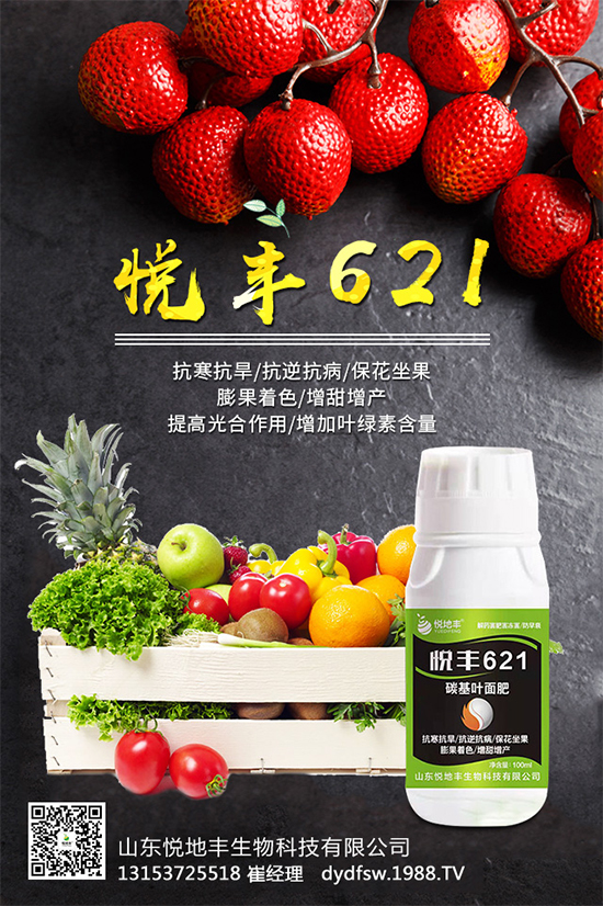 �t����֪��ԓ�����������