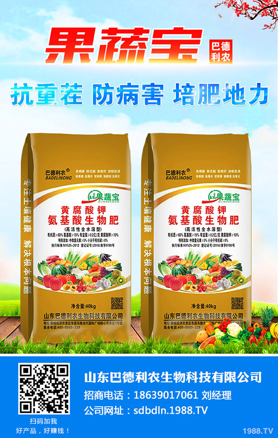     �½�ʲô�r(sh��)�g���N���^�����޻��粥��������̎��ȱ�c(di��n)����Щ��