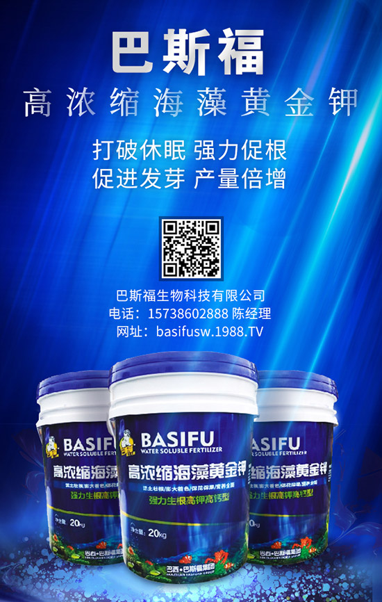 ����ʩ�ʵĸ��ѕr(sh��)�g��ɶ�r(sh��)���� զ��ʩЧ������