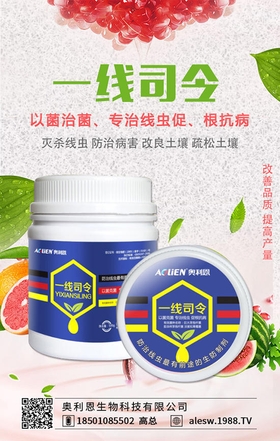 ���X(qi��n)����ô�B(y��ng)�����X(qi��n)���B(y��ng)ֳ��������Щ��