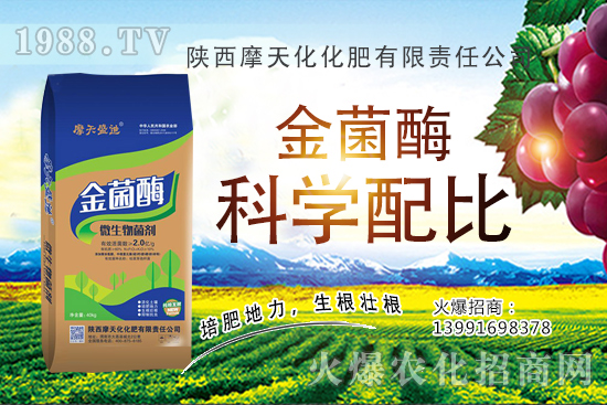 2020�����Nֲǰ����ô���������N�Ӷ����X(qi��n)һ����