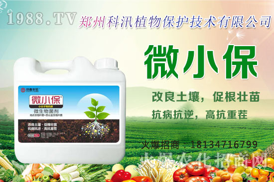 ����Ĺ�Ч�c�����������c�����Ă�(g��)���РI(y��ng)�B(y��ng)��