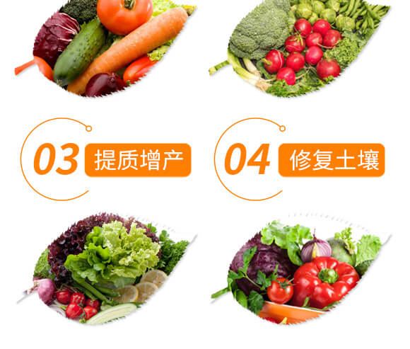 ����ֲ��ˮ�ܷ���-���-��ɫ���B(t��i)_08