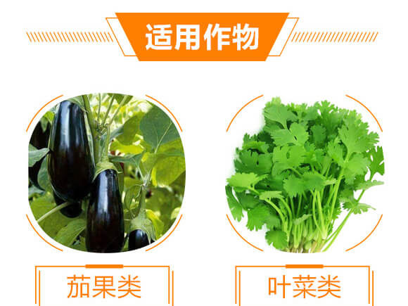 ����ֲ��ˮ�ܷ���-���-��ɫ���B(t��i)_04