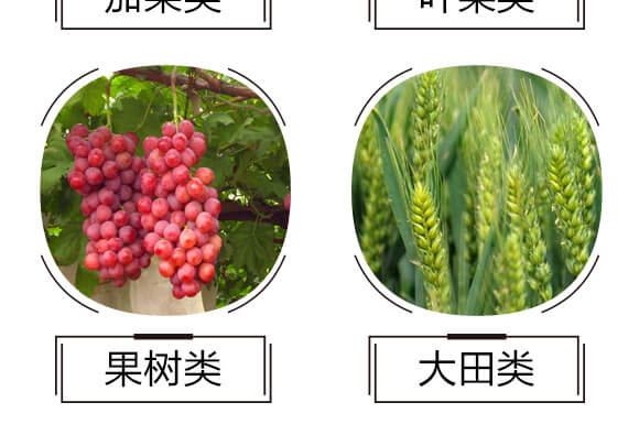 �VԴ�S�����-����999-��ɫ���B(t��i)_07