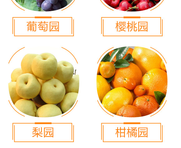 �ݸ�좮������}-�x��-��ʯ����_08