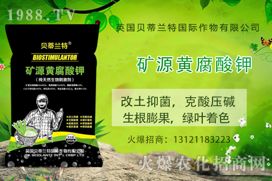 ���ܹ���ô�N�����ܹϷNֲ��(y��ng)ԓע����Щ���(xi��ng)��