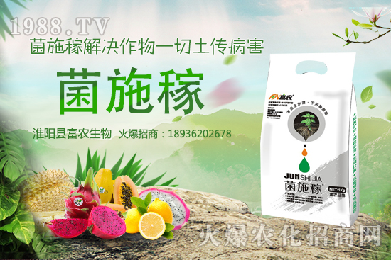 2020���r(n��ng)��NҰ��ٍ�X�����x����ЩҰ��Ʒ�NЧ��ߣ����h�ղ���