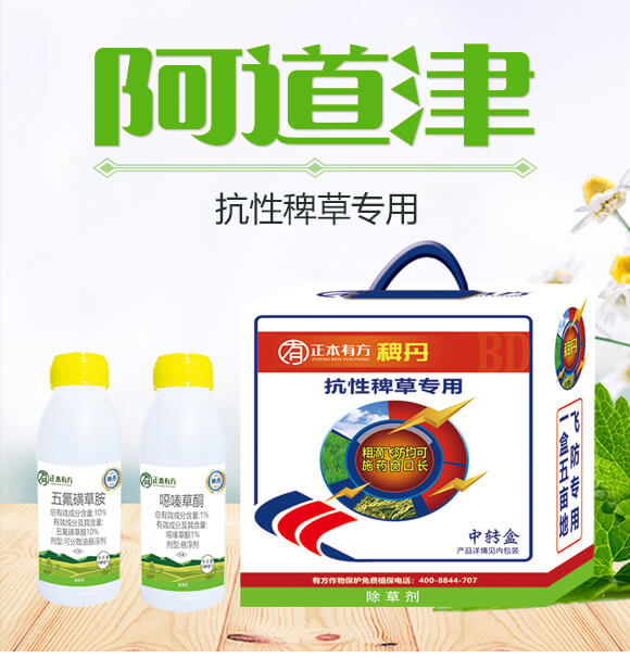 ���԰޲݌�(zhu��n)��-�޵�-�����з�_01