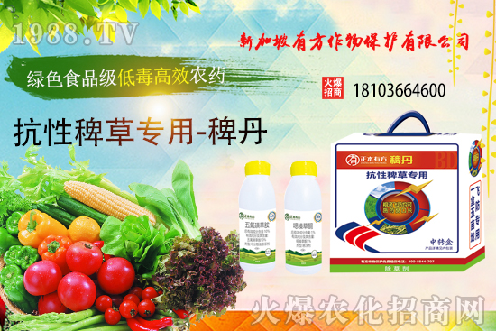 �r(n��ng)ˎ΢�҄������Ƃ似�g(sh��)�о��M(j��n)չ