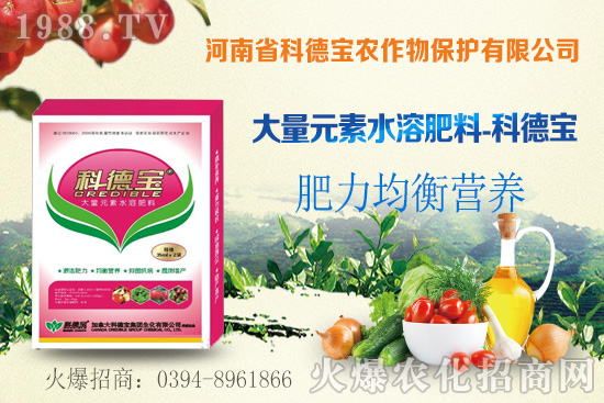 ��������ǰ��Ҫ��ʲô��(zh��n)�䣿���ό��h(hu��n)���l����ʲôҪ����