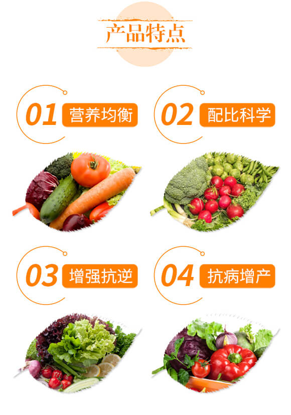 �����{�턩-�}���V-��ؐ��_03