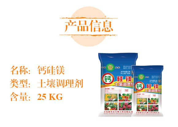 �����{�턩-�}���V-��ؐ��_02