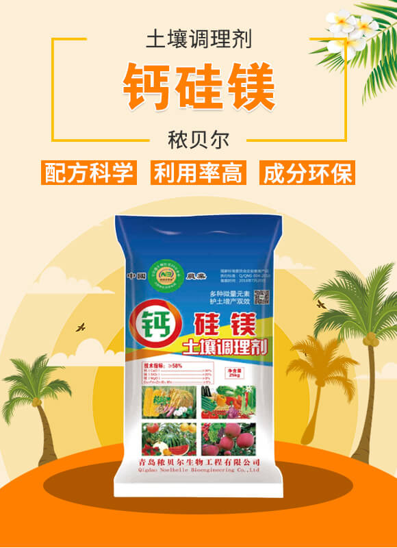 �����{�턩-�}���V-��ؐ��_01