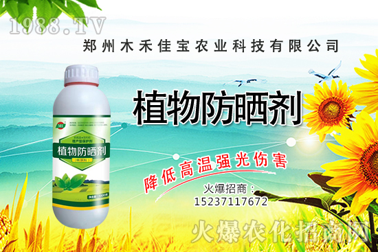 ѿ��˷Nֲǰ����ô����ѿ��˷Nֲ���g(sh��)����Щ��