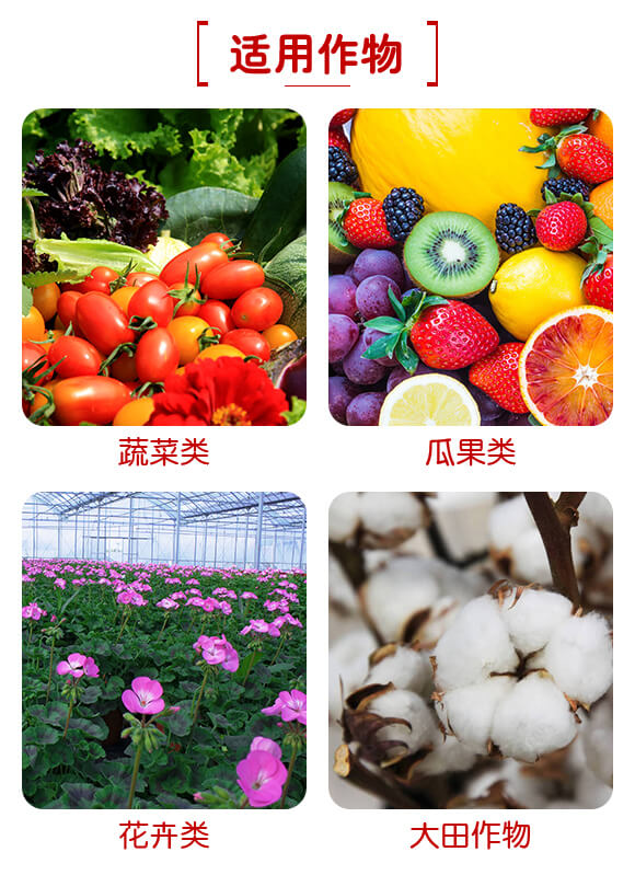 �V���������B(t��i)�Ƽ����޹�˾�a(ch��n)ƷԔ���1_06