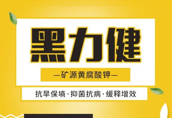 �W˹�D����Ƽ����޹�˾_01