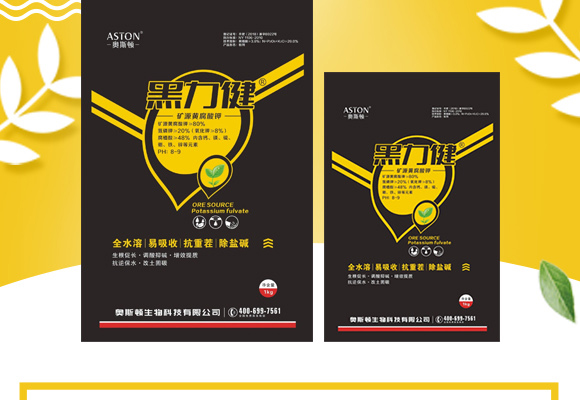 �W˹�D����Ƽ����޹�˾_02