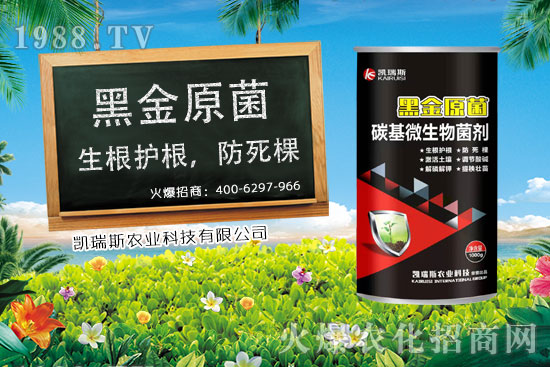     ����ʲô�r(sh��)����������׵��ի@�r(sh��)�������׵ĠI(y��ng)�B(y��ng)�r(ji��)ֵ��