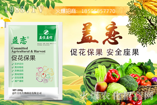 ��֦�ĠI�B(y��ng)�ɷ�����Щ����֦�ܶ�Ԇ��������m����Ⱥ��