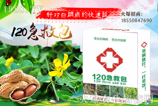 �ȹ����緽������Щ���ȹ���ô���Զ�ֲ��