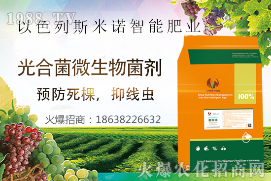 ���Y(ji��)���xΣ������̫�y��������΢�ء����æ�����ƾ��x���x�����Ƀ���