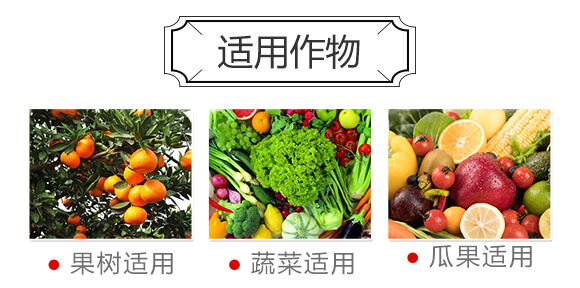 ���ǹȰ���΢�������-����_04