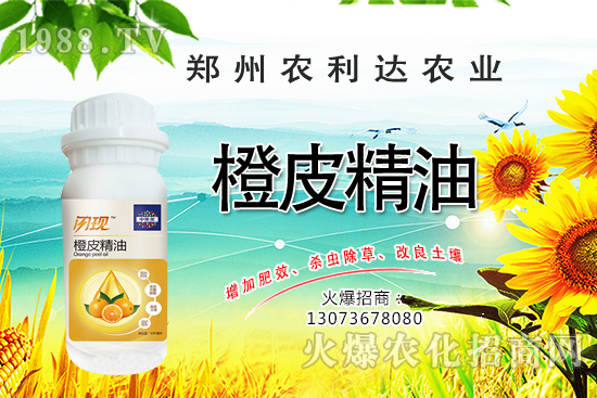 ��Ƥ�������˽��������Ƥ������ʲô��������ô�x��Ƥ������