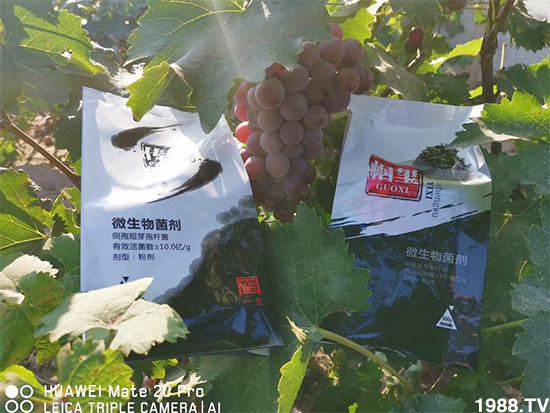 �îa(ch��n)Ʒ����������һ�t���΢������������t���͑��挍������