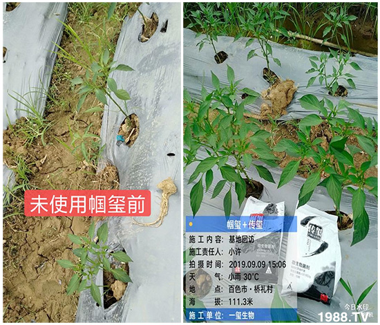 �îa(ch��n)Ʒ�����ã���һ�t���΢������������t���͑��挍������