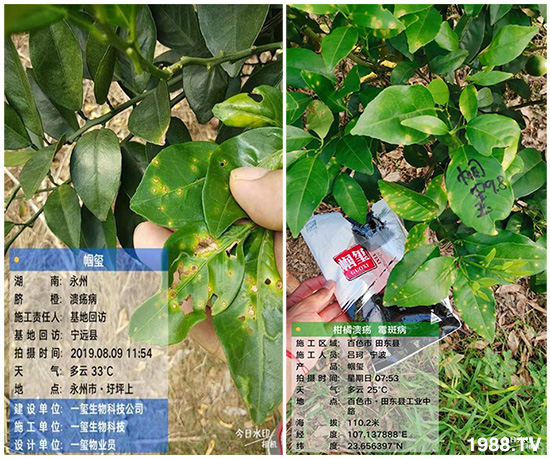 �îa(ch��n)Ʒ�����ã���һ�t���΢������������t���͑��挍������