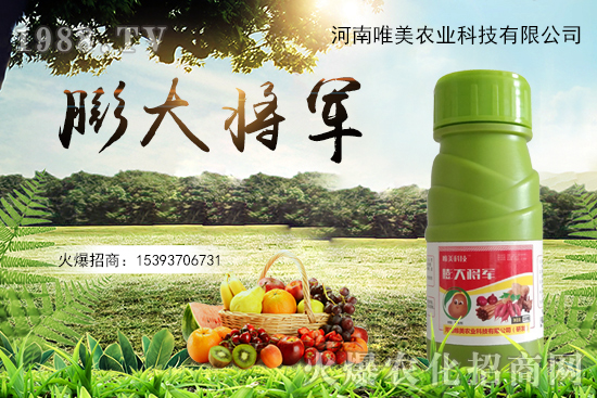 ���������������С��ô��Q����������ʵ��x������Щ��