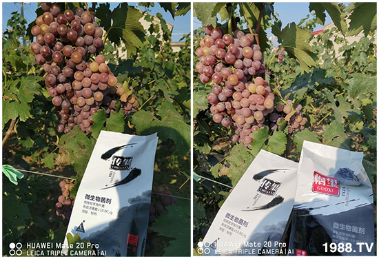 �îa(ch��n)Ʒ����������һ�t���΢������������t���͑��挍������