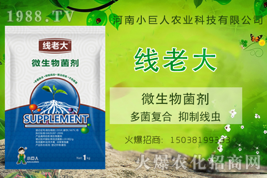 ���Y(ji��)���xզ���������Y(ji��)���x����-�����ϴ󡱶����(f��)�ϡ����ƾ��x��