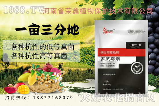 �׷����C����˪ù�������y��������ˎ������Щ�������a(ch��n)Ʒ�R����