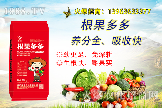 �����������������ô�k����������ࡱ����̽������(sh��)����������B��