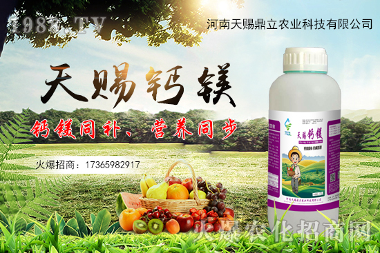 ���n������ʲô��(y��u)�������n�������Ʈa(ch��n)Ʒ����Щ��