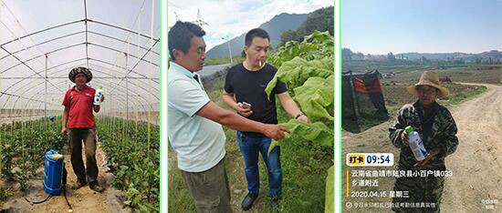 �͑�����