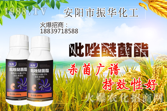 黃瓜白粉病危害有哪些，黃瓜白粉病怎么治？該打什么農(nóng)藥？