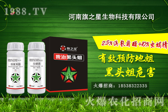 ������֮����ô����������֮�ǚ����a(ch��n)Ʒ����Щ��