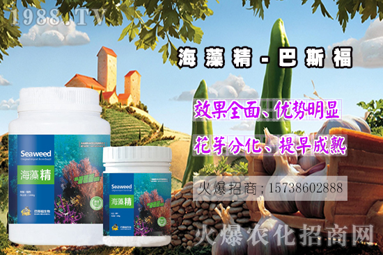  ߀���˽⺣�徫��ɶ����������out�������徫�����ж��