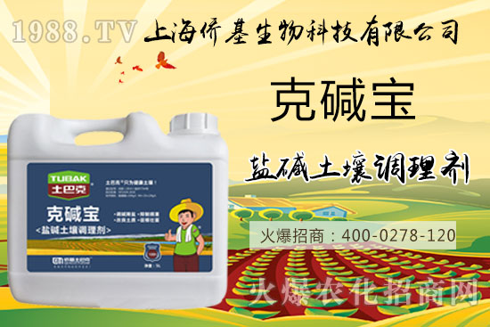 �����}�AΣ���������ˉA���������}�A��߀��һƬ������