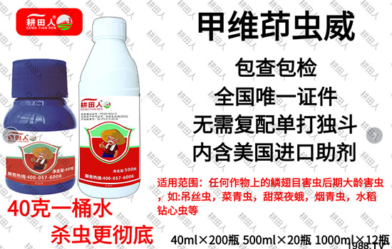 ����Ʒ�r(n��ng)ˎ�������¼Z�}������������ô�������x���a(ch��n)Ʒ����Щ��