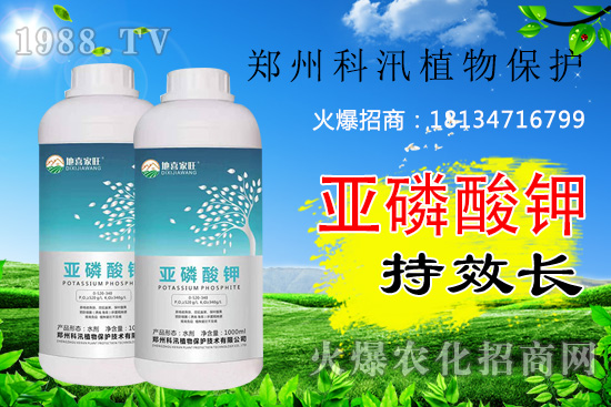 ������⛹�Ч�������C(j��)������Щ������������õĺ������